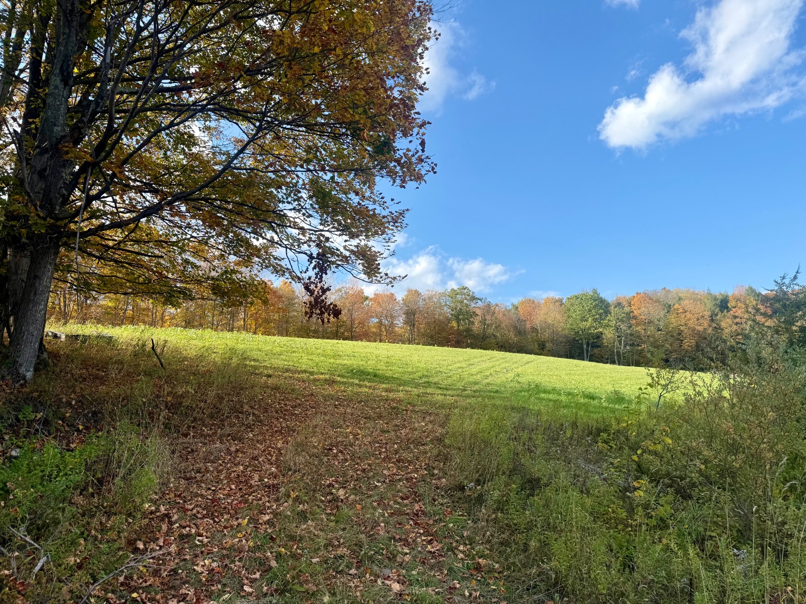 #5 photo, 0 Bruce Cross Rd, Lexington , NY 12468