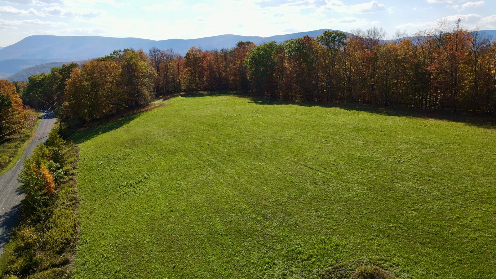 #50 photo, 0 Bruce Cross Rd, Lexington , NY 12468