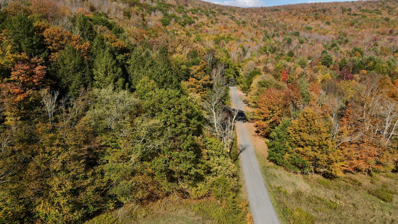 #53 photo, 0 Bruce Cross Rd, Lexington , NY 12468