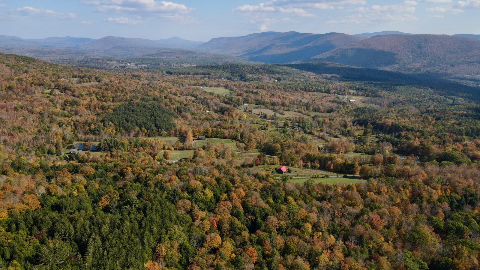 #55 photo, 0 Bruce Cross Rd, Lexington , NY 12468