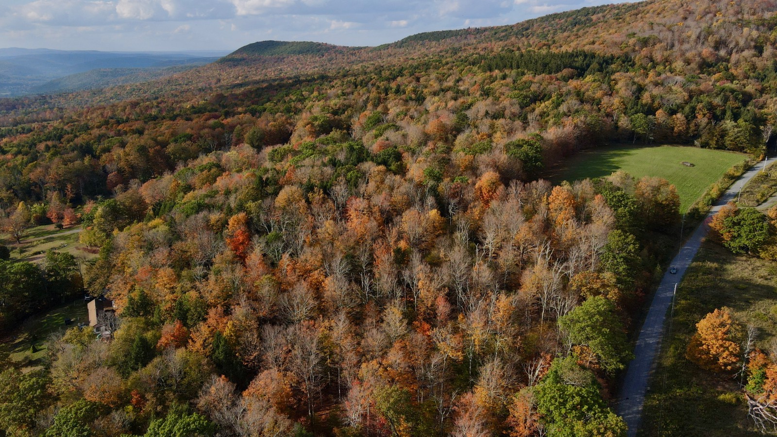 #6 photo, 0 Bruce Cross Rd, Lexington , NY 12468