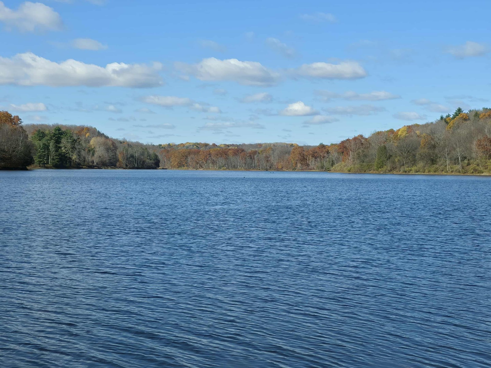 #43 photo, 383 Clay Hill Rd, Saint Johnsville , NY 13452