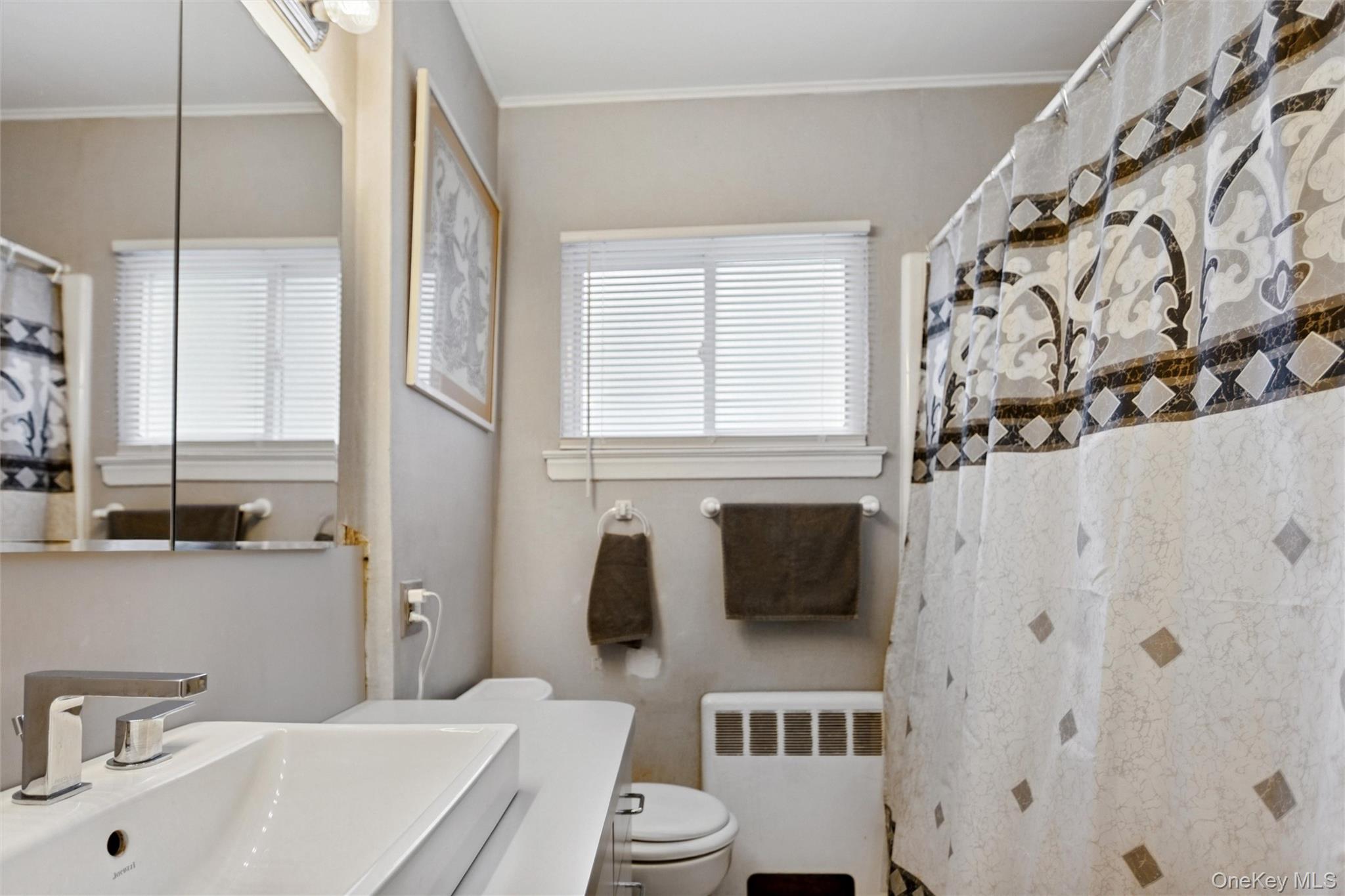 #16 photo, 437 Cedar Lane, ナッソー郡 East Meadow , NY 11554