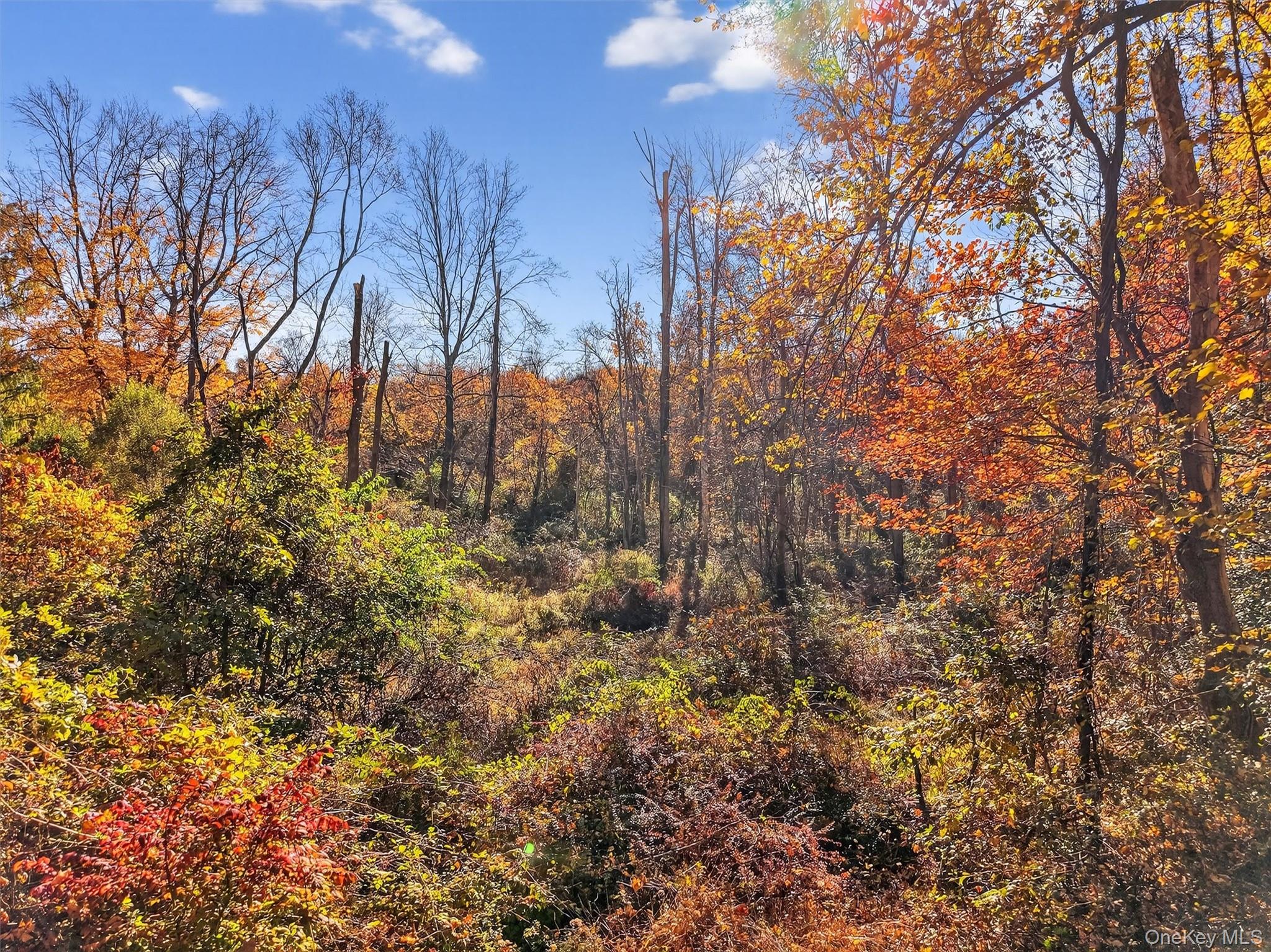 #10 photo, 26 Elmwood Road, South Salem , NY 10590