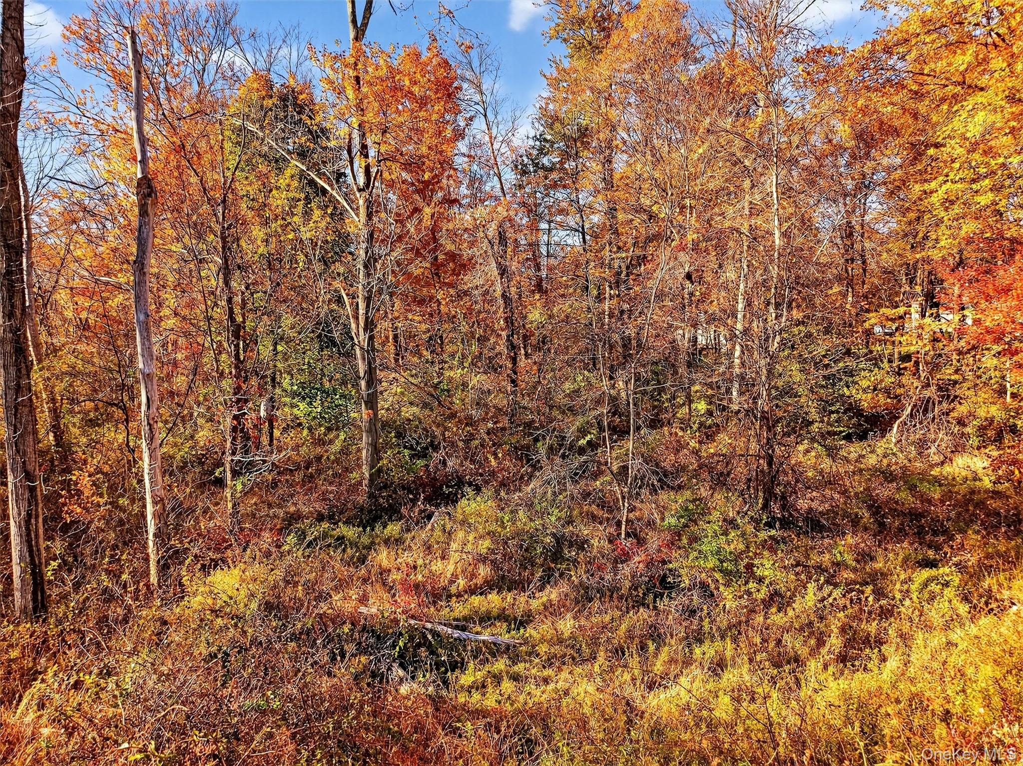 #12 photo, 26 Elmwood Road, South Salem , NY 10590