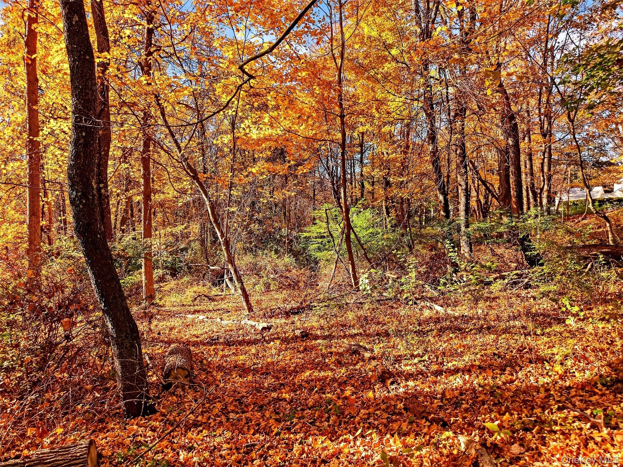 #13 photo, 26 Elmwood Road, South Salem , NY 10590