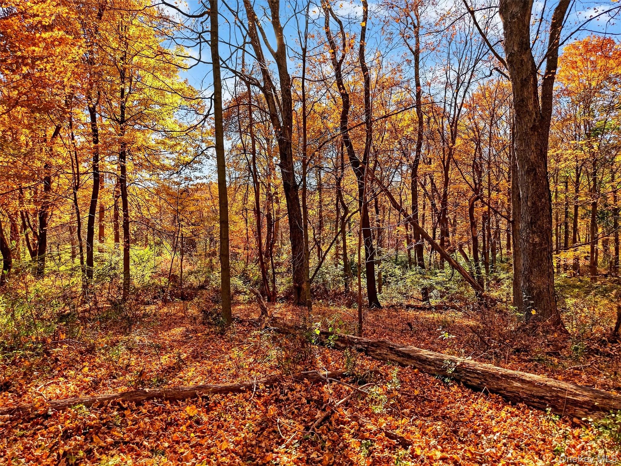 #14 photo, 26 Elmwood Road, South Salem , NY 10590