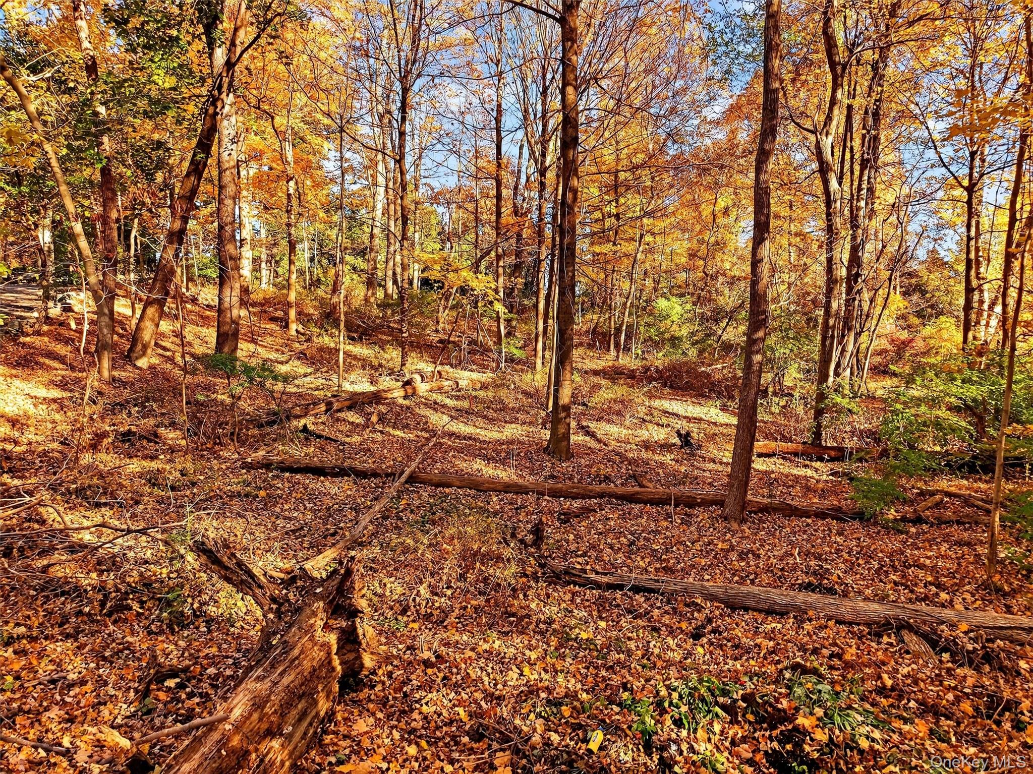 #16 photo, 26 Elmwood Road, South Salem , NY 10590