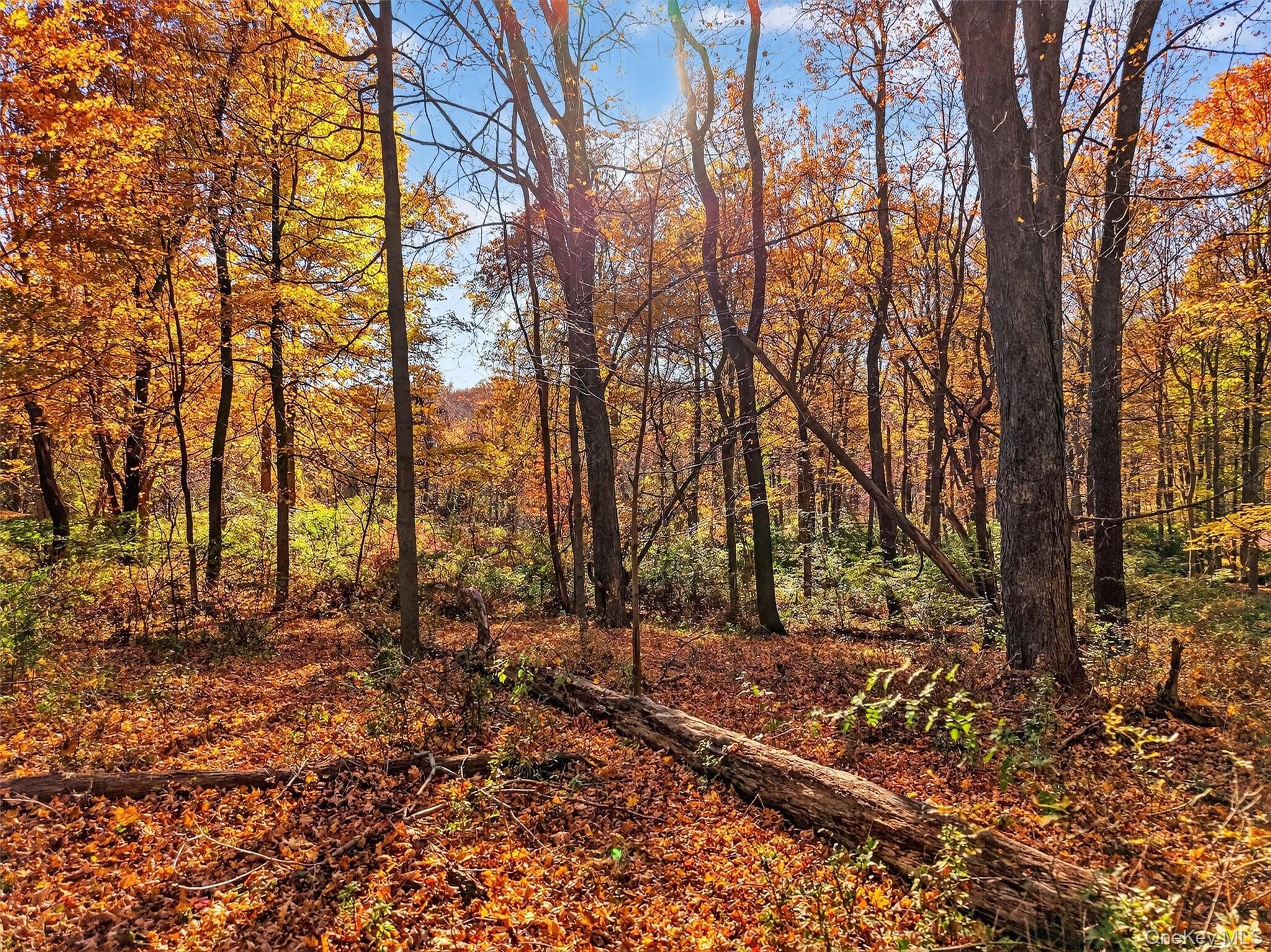 #7 photo, 26 Elmwood Road, South Salem , NY 10590