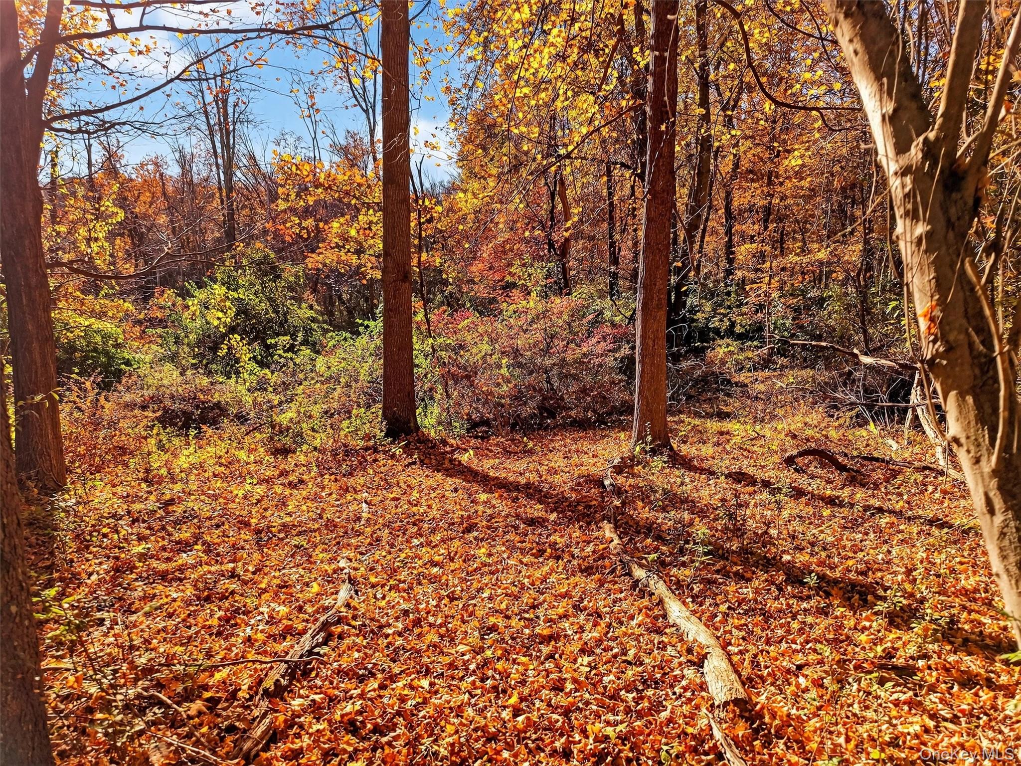 #8 photo, 26 Elmwood Road, South Salem , NY 10590