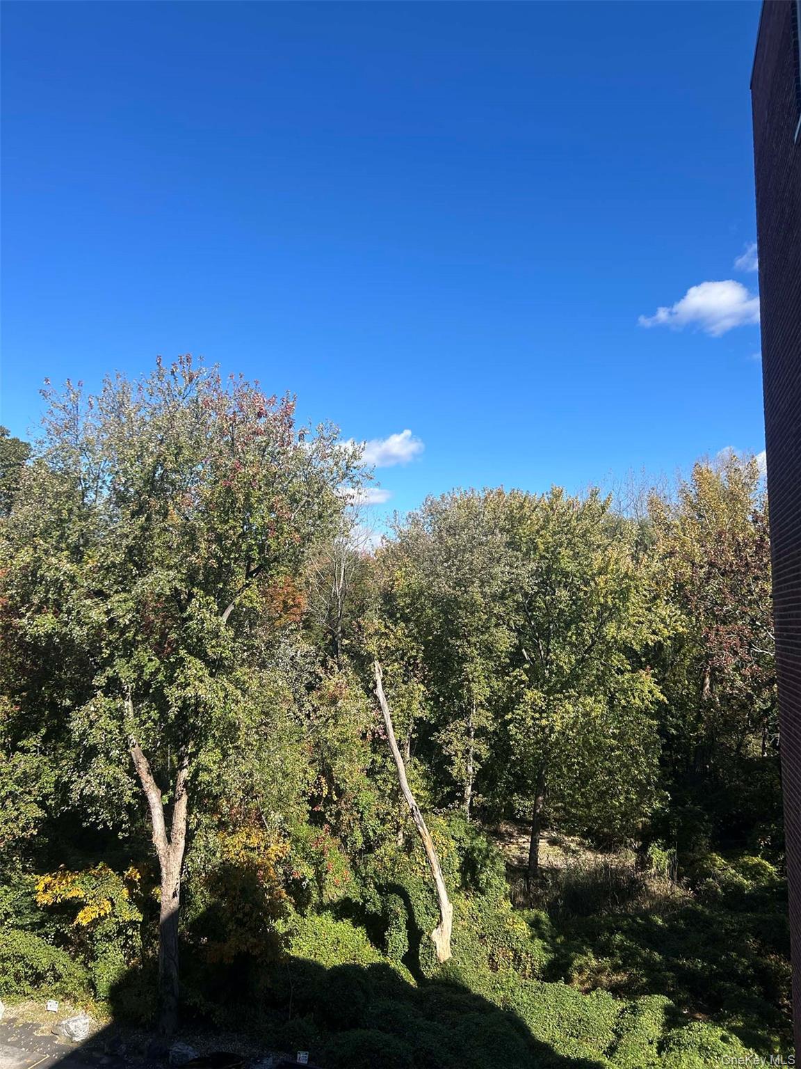 #17 photo, 1111 Midland Avenue, ブロンクス区 Bronxville , NY 10708