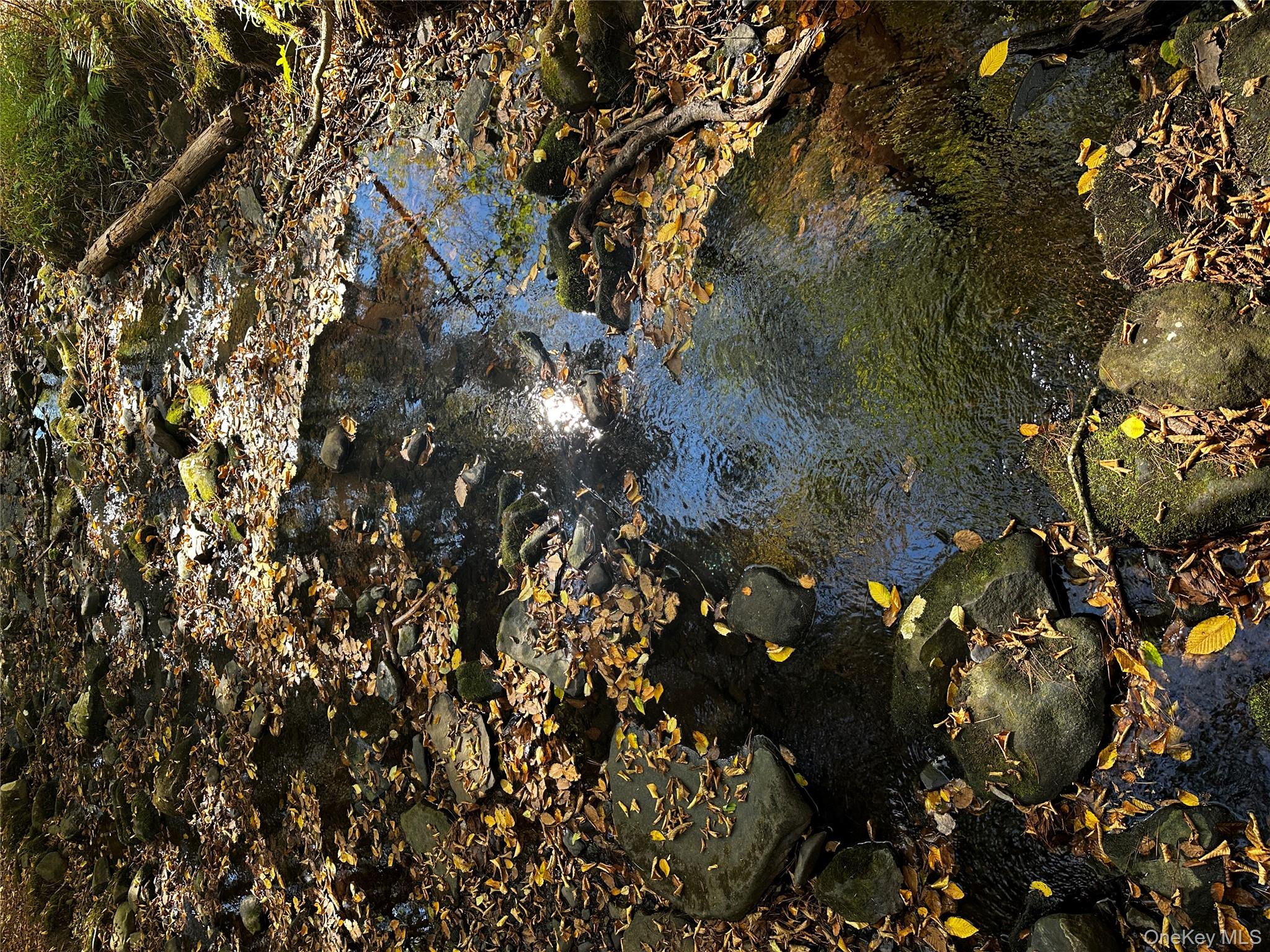 #4 photo, 90 Hillside Road, Barryville , NY 12719