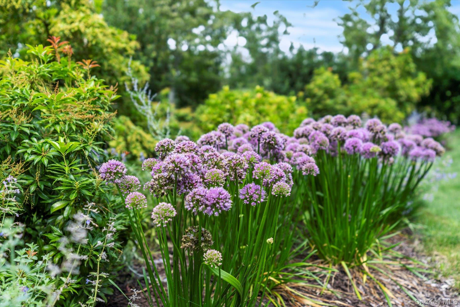 #19 photo, 45 Huckleberry Lane, East Hampton , NY 11937