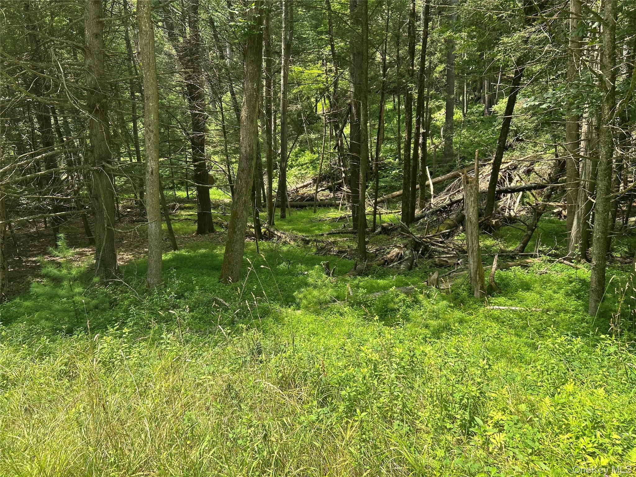 #7 photo, 126 Yulan-Barryville Road, Barryville , NY 12719