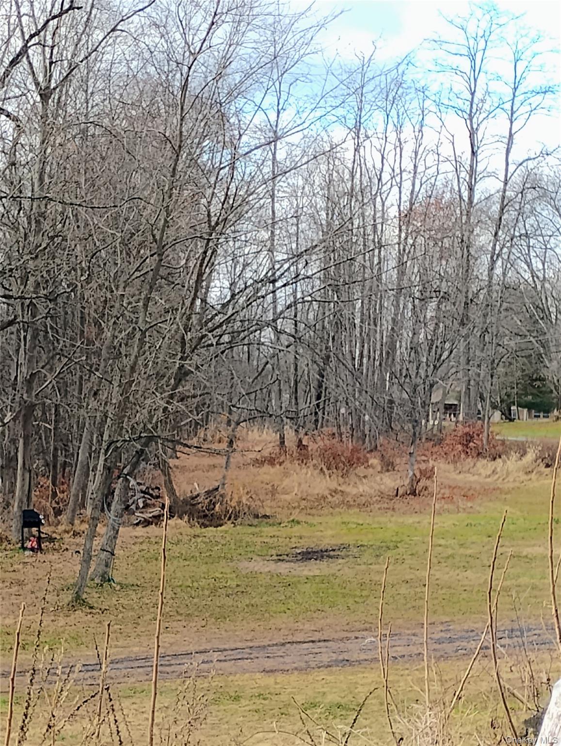 #4 photo, 2637 State Route 208, Walden , NY 12586