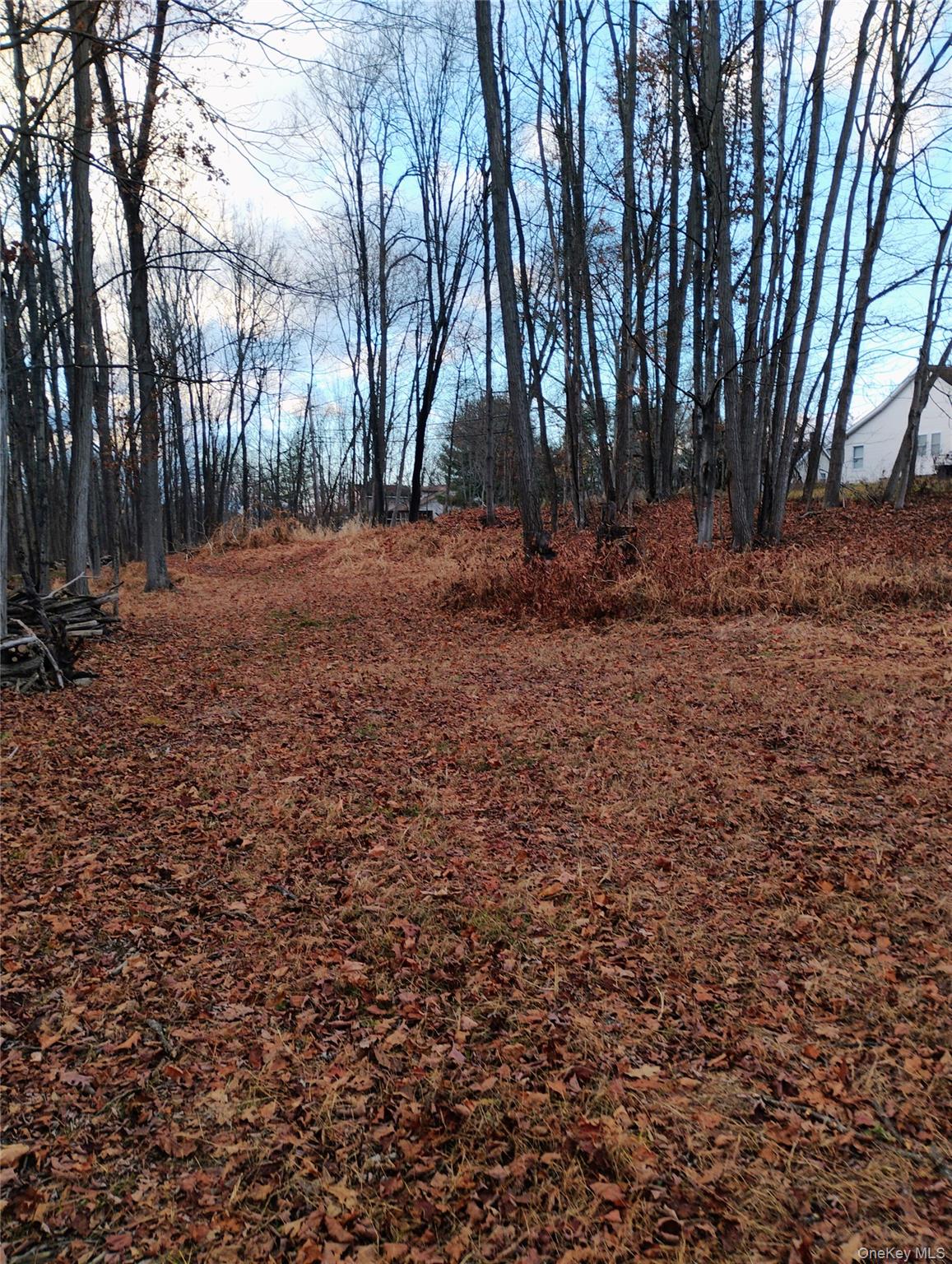 #6 photo, 2637 State Route 208, Walden , NY 12586