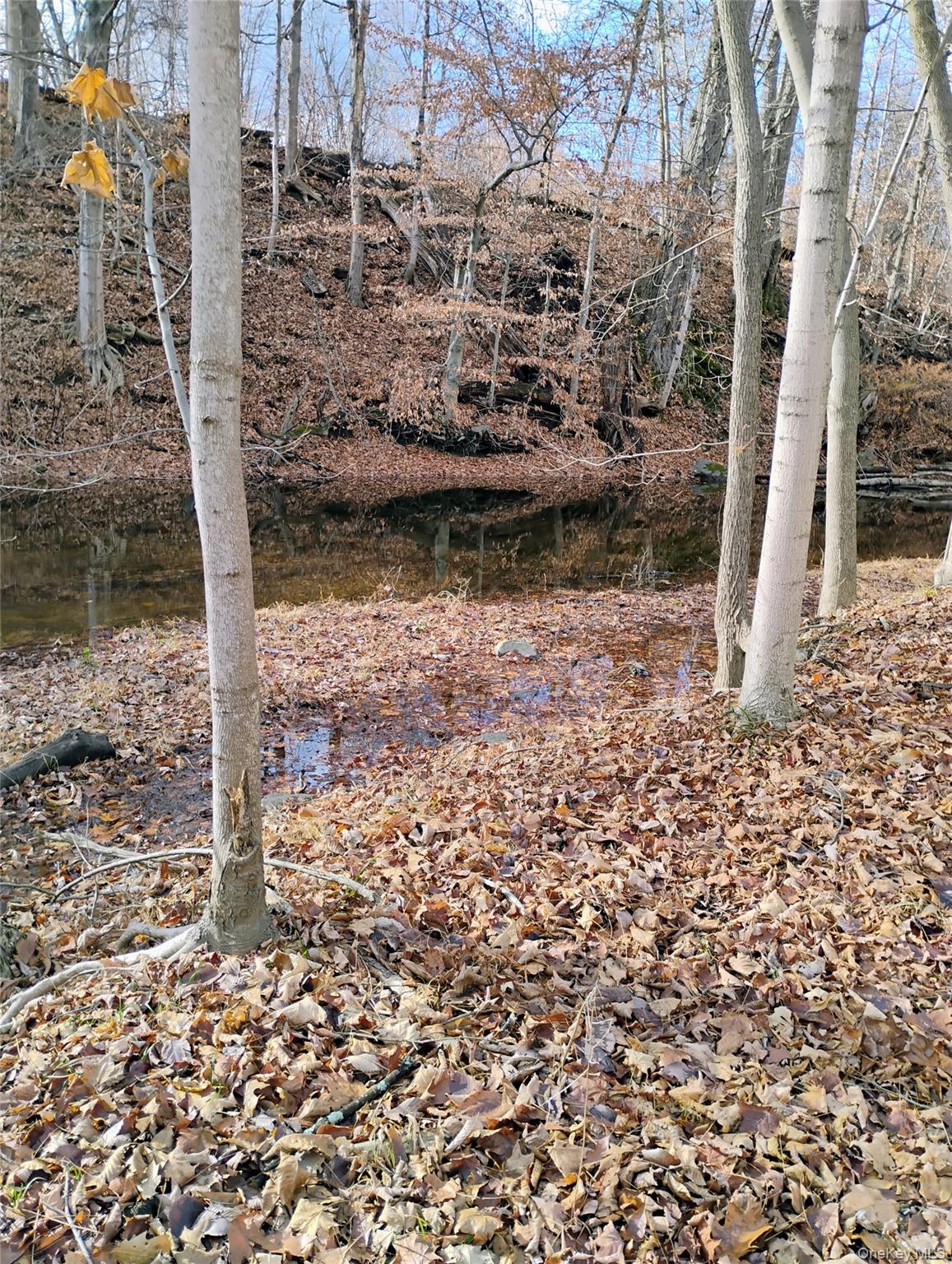 #9 photo, 2637 State Route 208, Walden , NY 12586