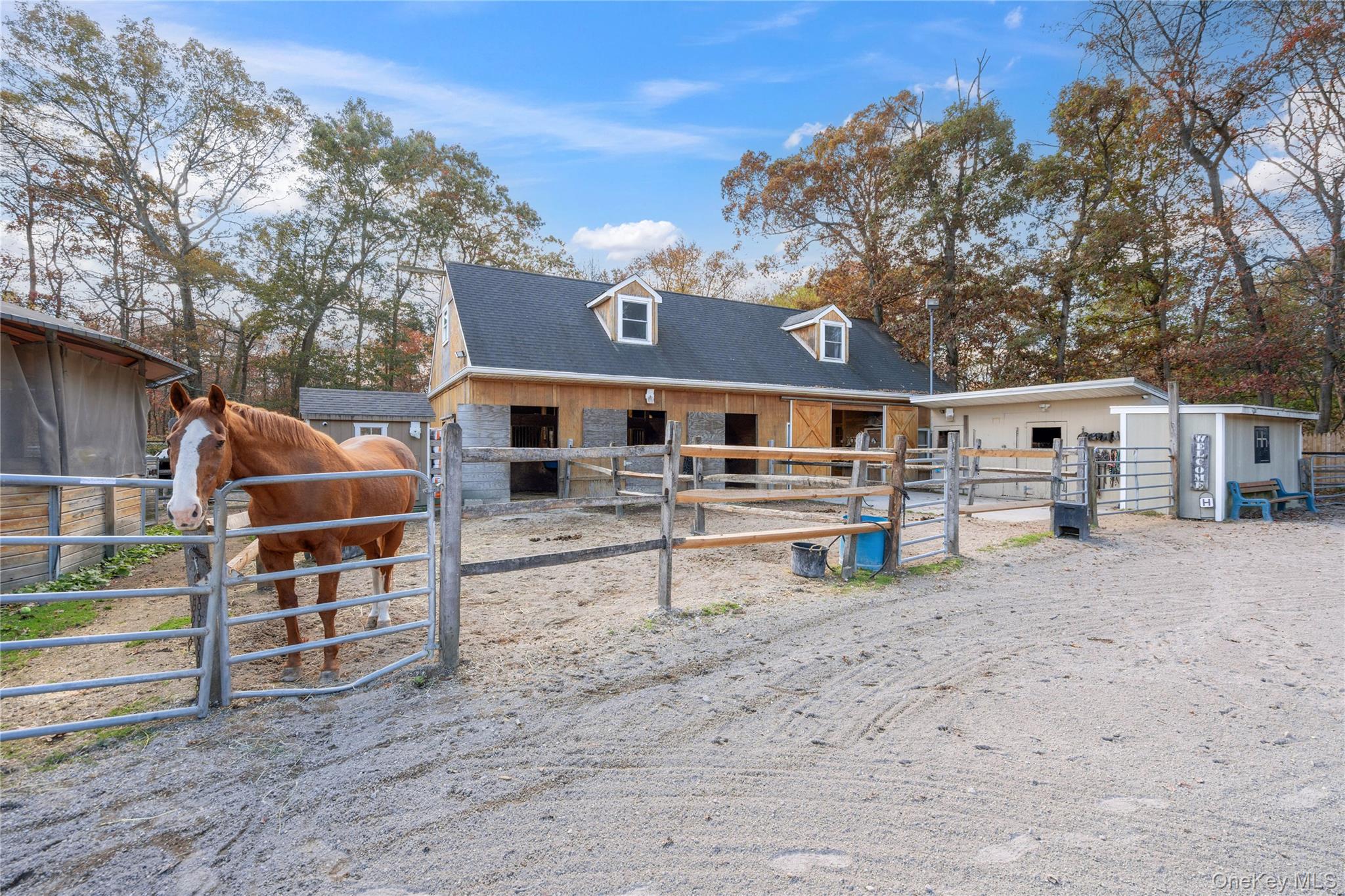 #16 photo, 114 Sportsmen Street, サフォーク郡 Central Islip , NY 11722