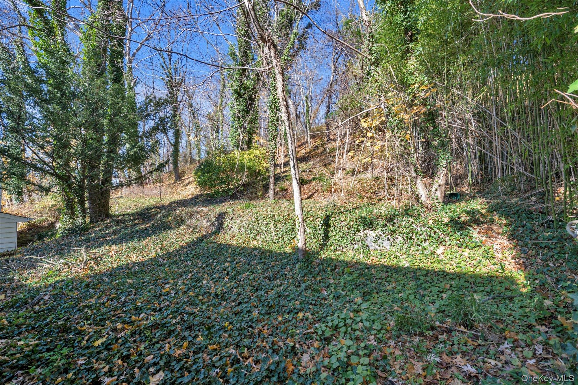 #18 photo, 1613 Northern Boulevard, Roslyn , NY 11576