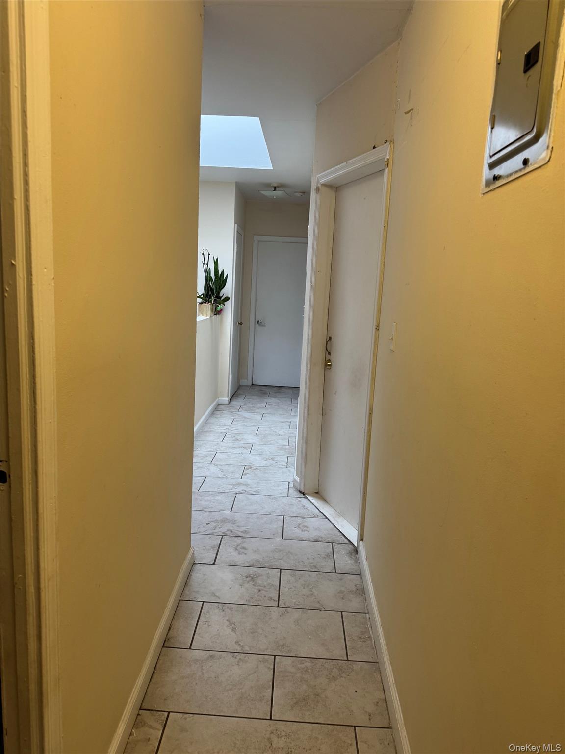 #20 photo, 191 Grant Avenue, ブルックリン区 Brooklyn , NY 11208