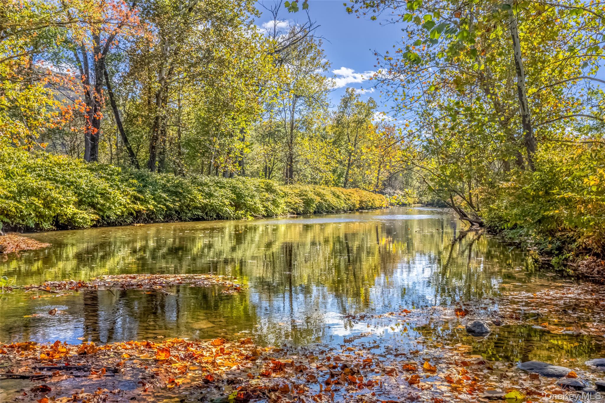 #10 photo, 8543 Route 209, Ellenville , NY 12428