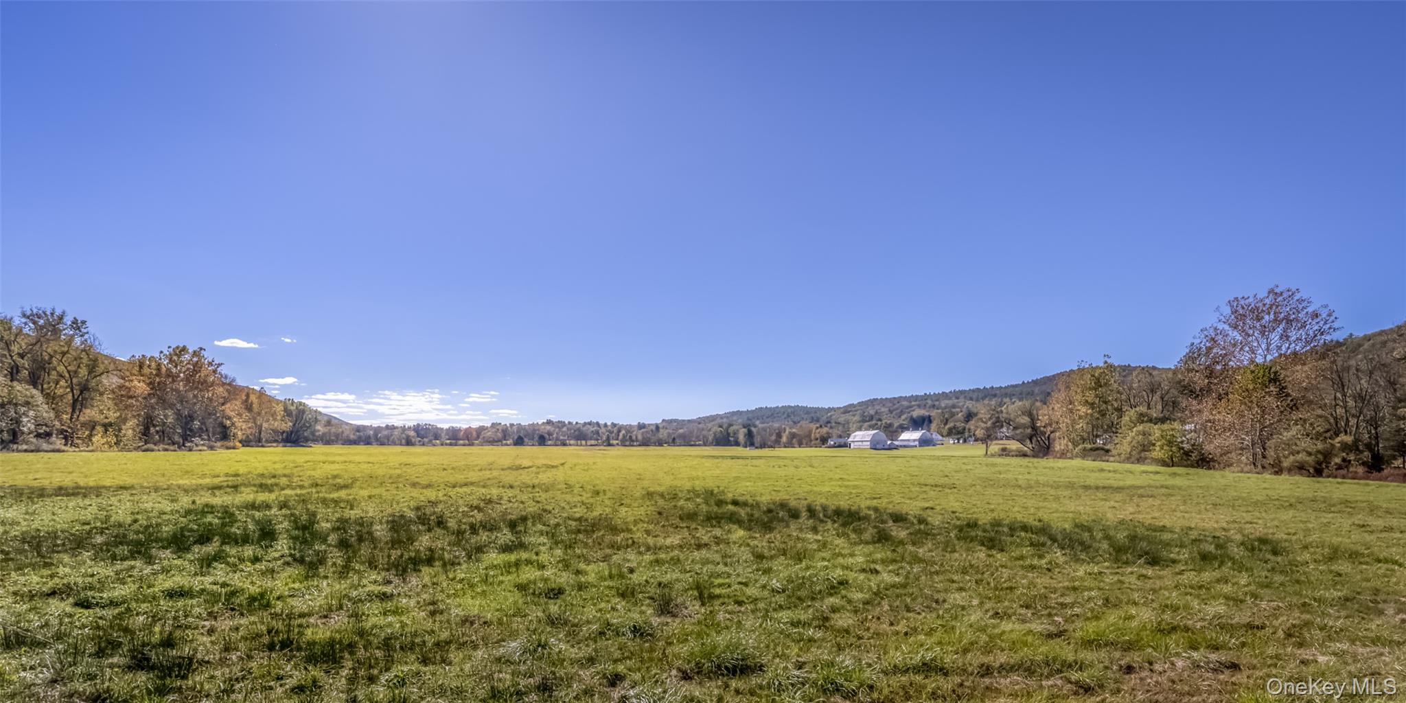 #13 photo, 8543 Route 209, Ellenville , NY 12428