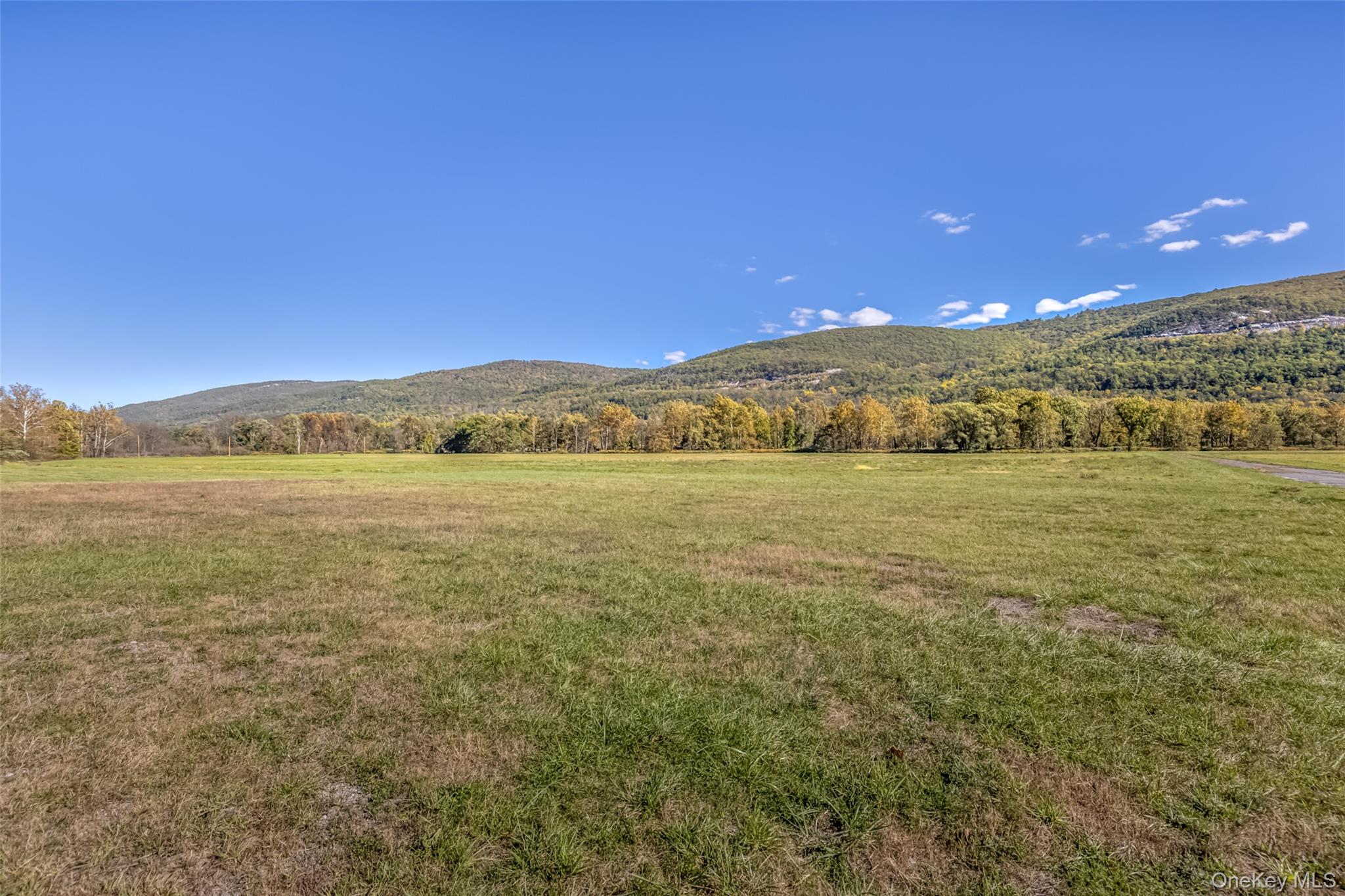 #14 photo, 8543 Route 209, Ellenville , NY 12428