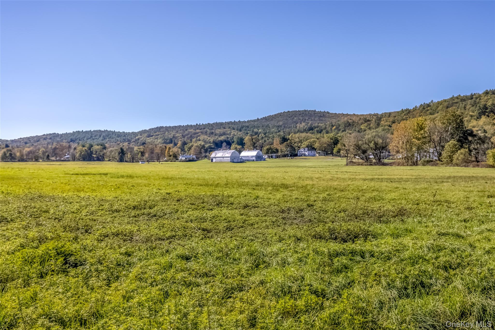 #15 photo, 8543 Route 209, Ellenville , NY 12428