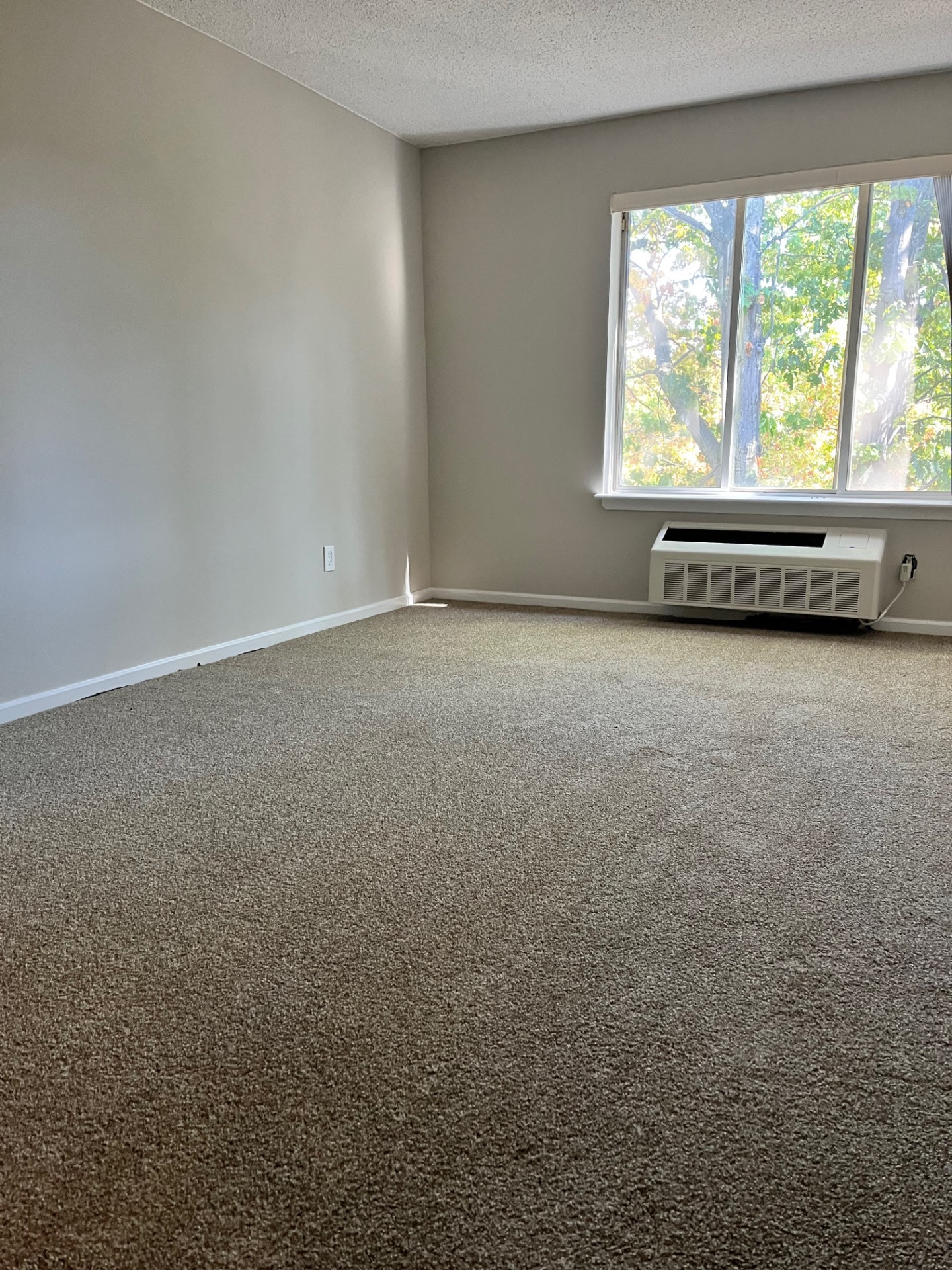 #14 photo, 195 Wellington Ct, #3F, Staten Island , NY 10314