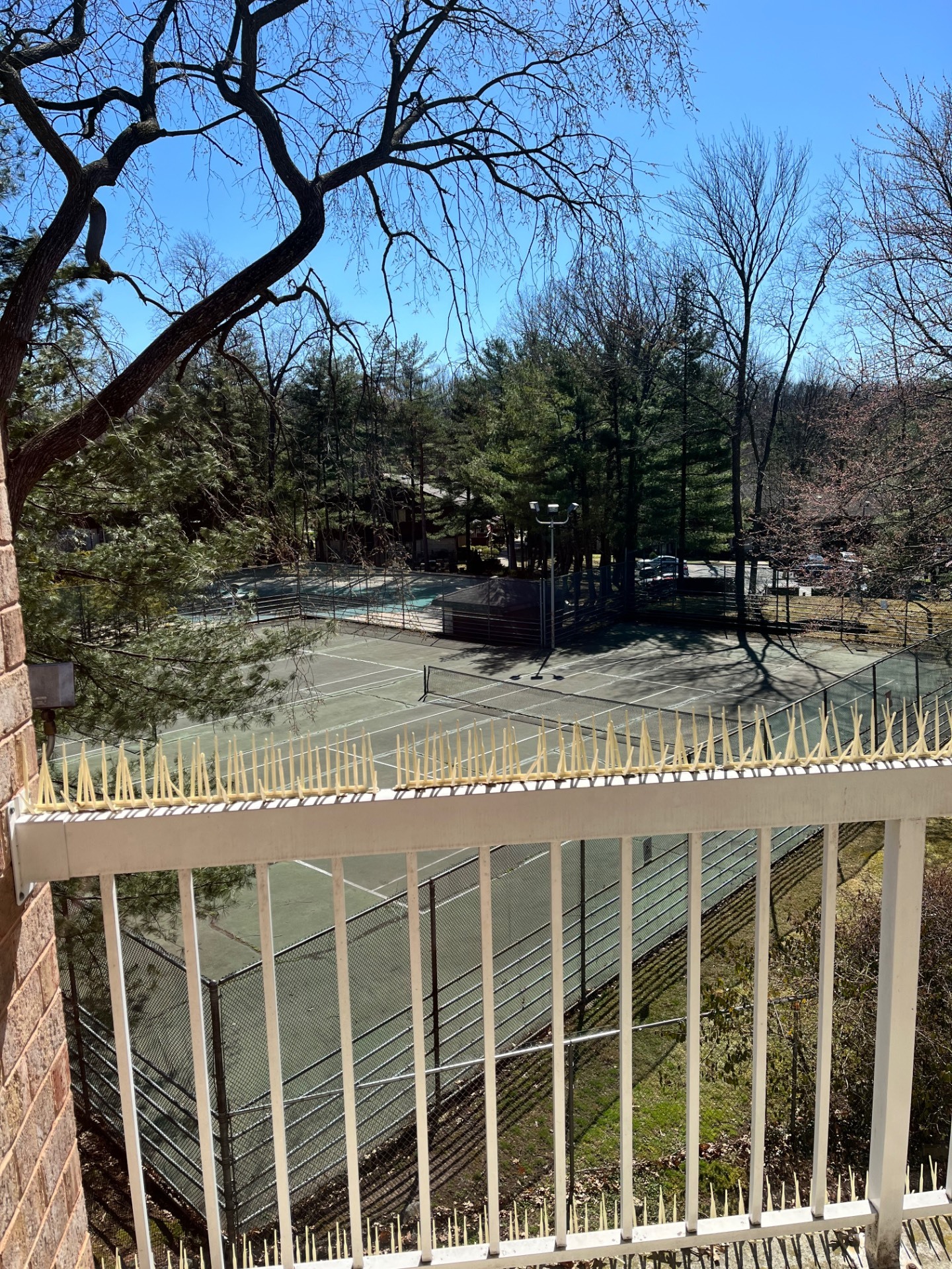 #18 photo, 195 Wellington Ct, #3F, Staten Island , NY 10314