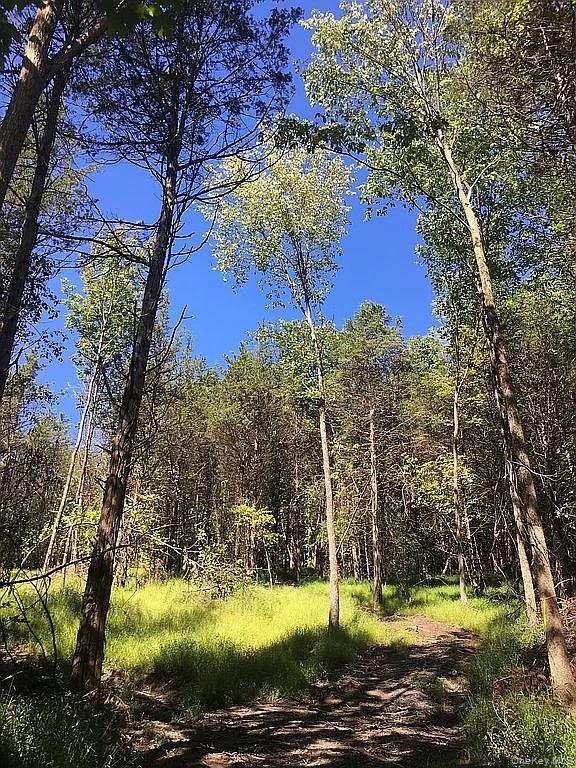 #11 photo, 410 County Rt. 25, Stockport, NY 12534., Hudson , NY 