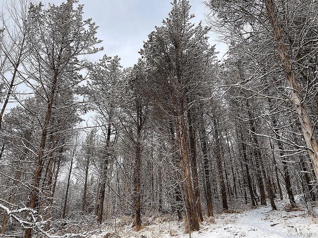 #14 photo, 410 County Rt. 25, Stockport, NY 12534., Hudson , NY 