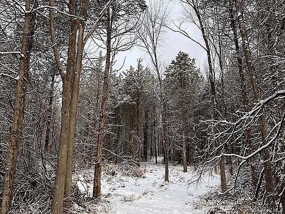 #15 photo, 410 County Rt. 25, Stockport, NY 12534., Hudson , NY 