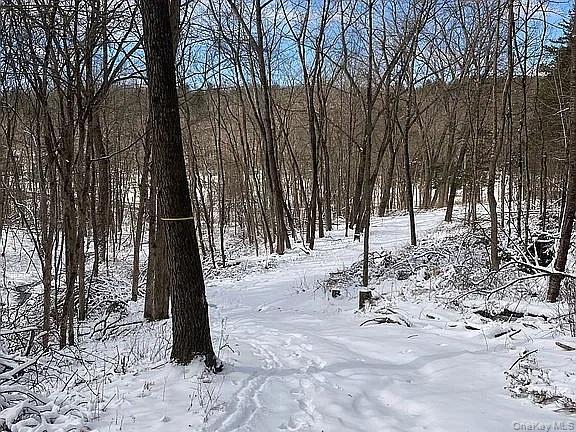 #16 photo, 410 County Rt. 25, Stockport, NY 12534., Hudson , NY 