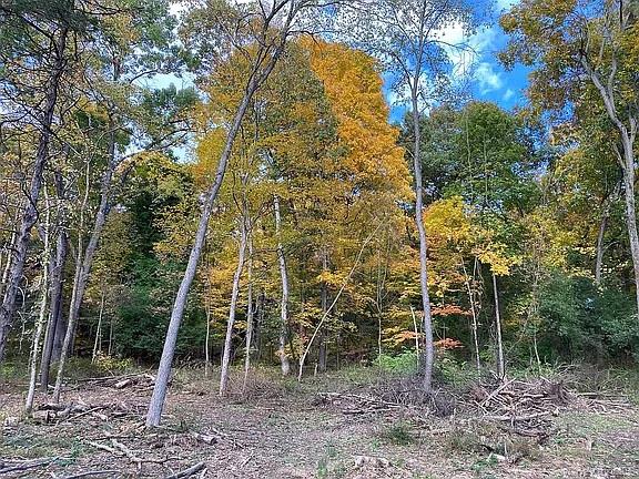 #3 photo, 410 County Rt. 25, Stockport, NY 12534., Hudson , NY 