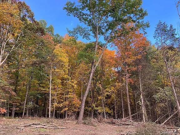 #6 photo, 410 County Rt. 25, Stockport, NY 12534., Hudson , NY 