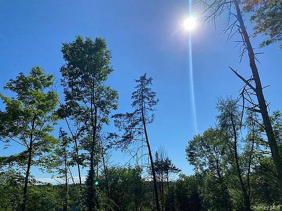 #8 photo, 410 County Rt. 25, Stockport, NY 12534., Hudson , NY 