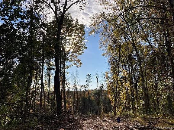 #9 photo, 410 County Rt. 25, Stockport, NY 12534., Hudson , NY 