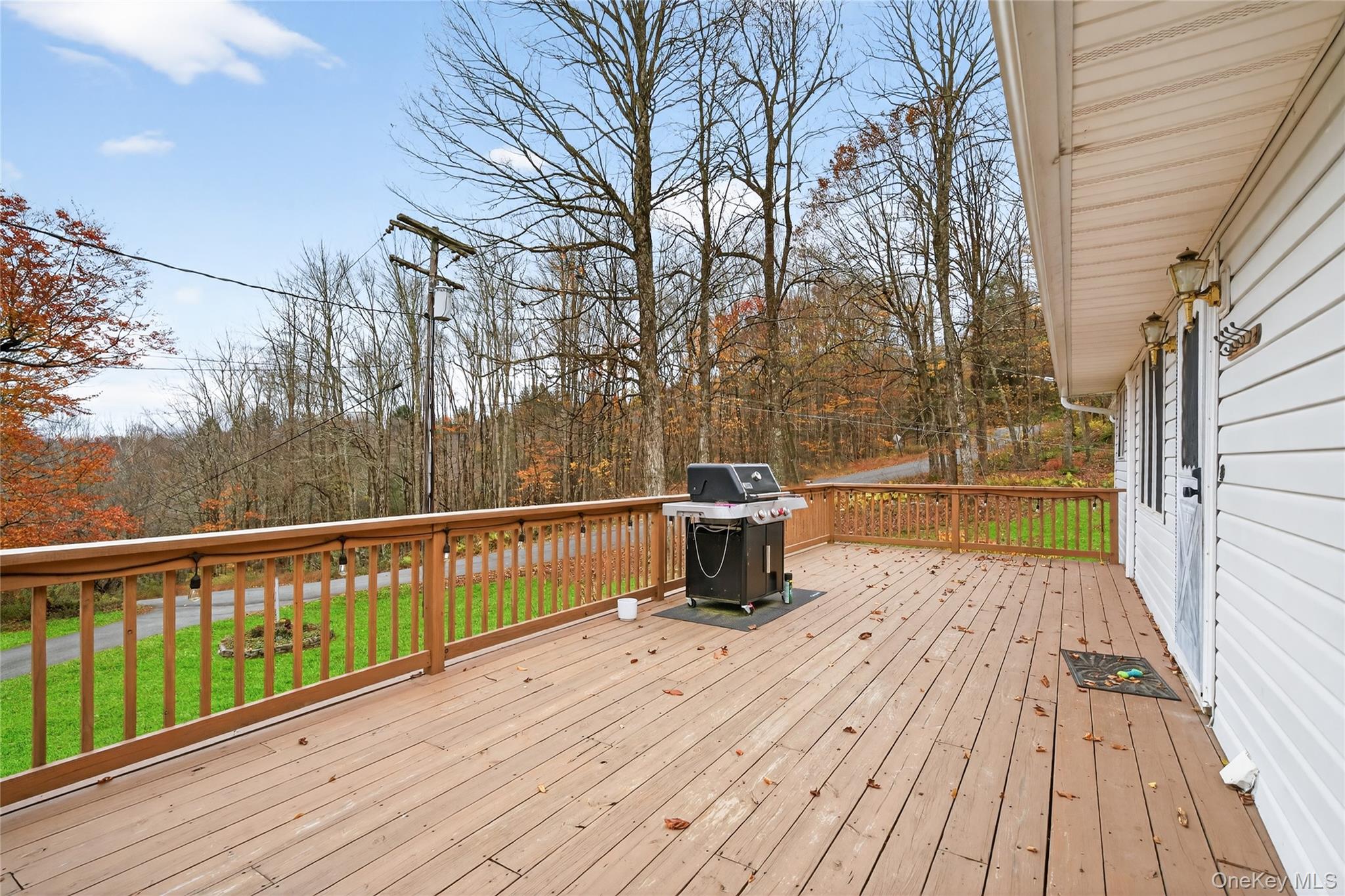 #13 photo, 1041 Hurd Road, Swan Lake , NY 12783