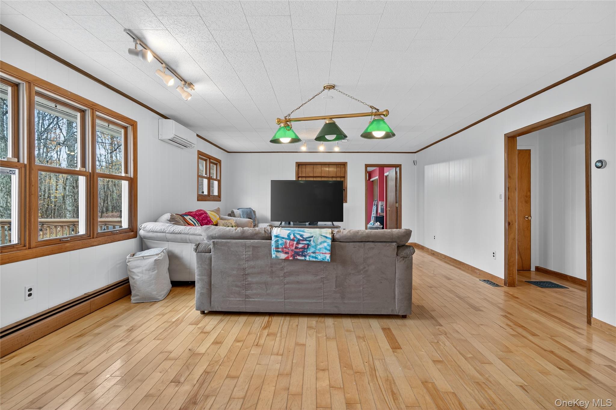 #19 photo, 1041 Hurd Road, Swan Lake , NY 12783