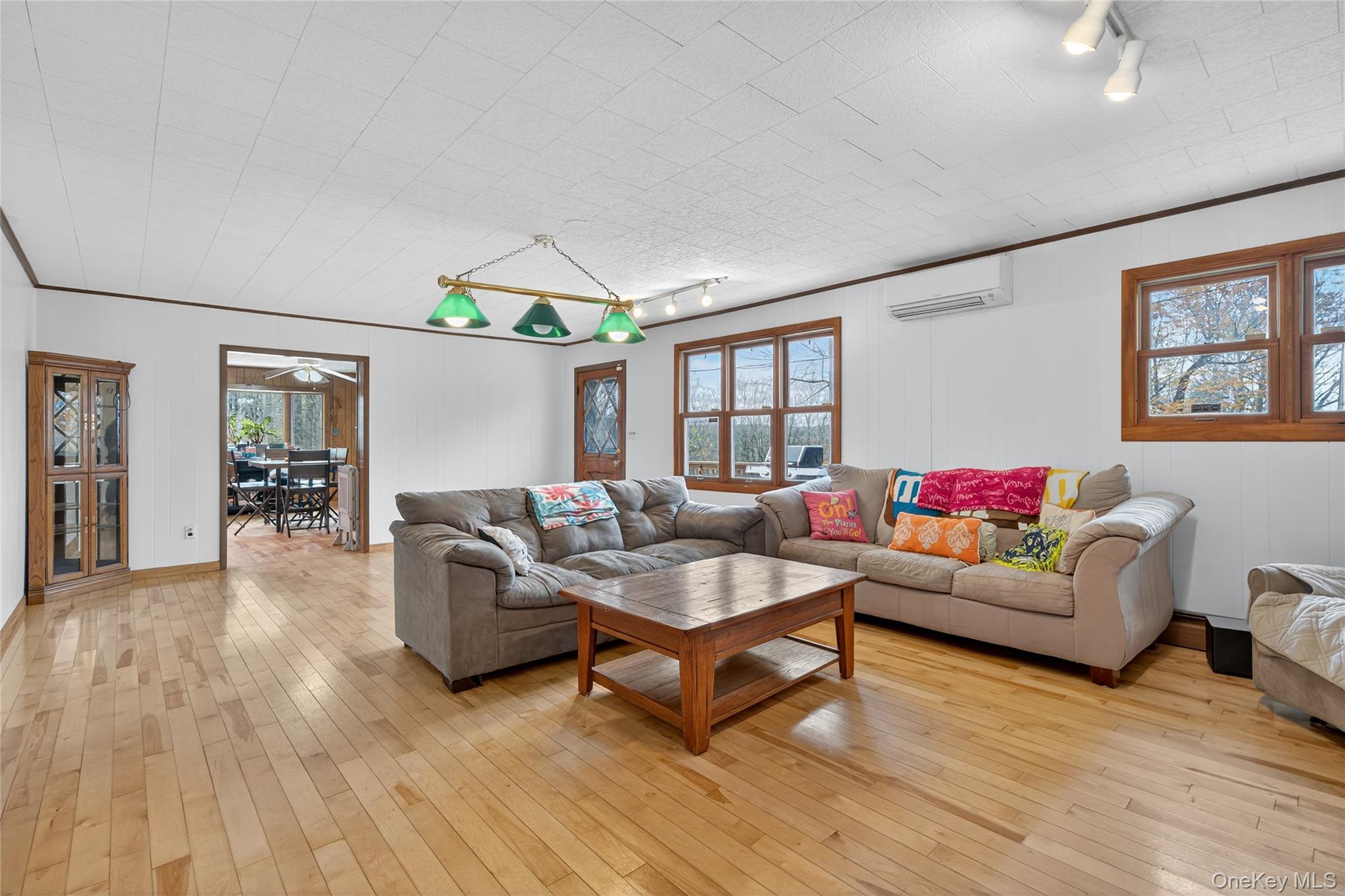 #20 photo, 1041 Hurd Road, Swan Lake , NY 12783