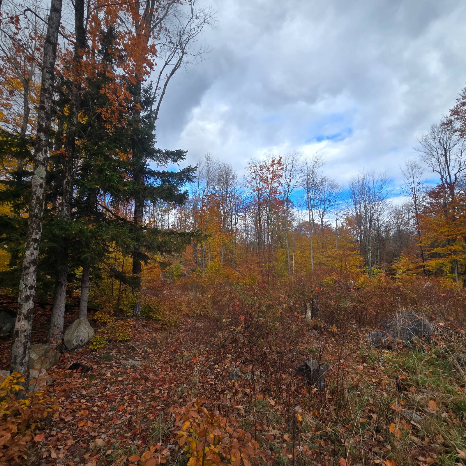 #19 photo, 7761 Alpine Rd, Harrisville , NY 13648