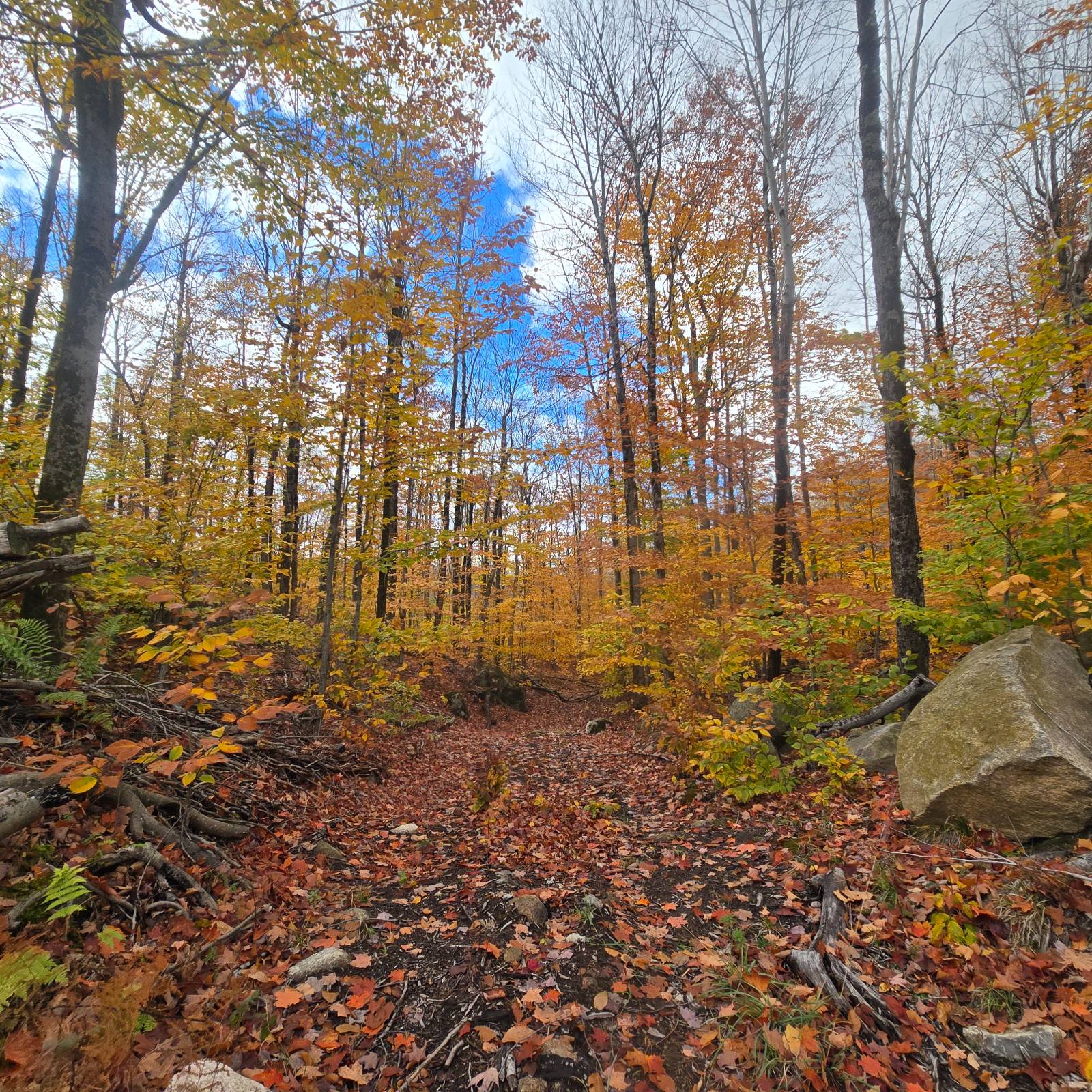 #20 photo, 7761 Alpine Rd, Harrisville , NY 13648