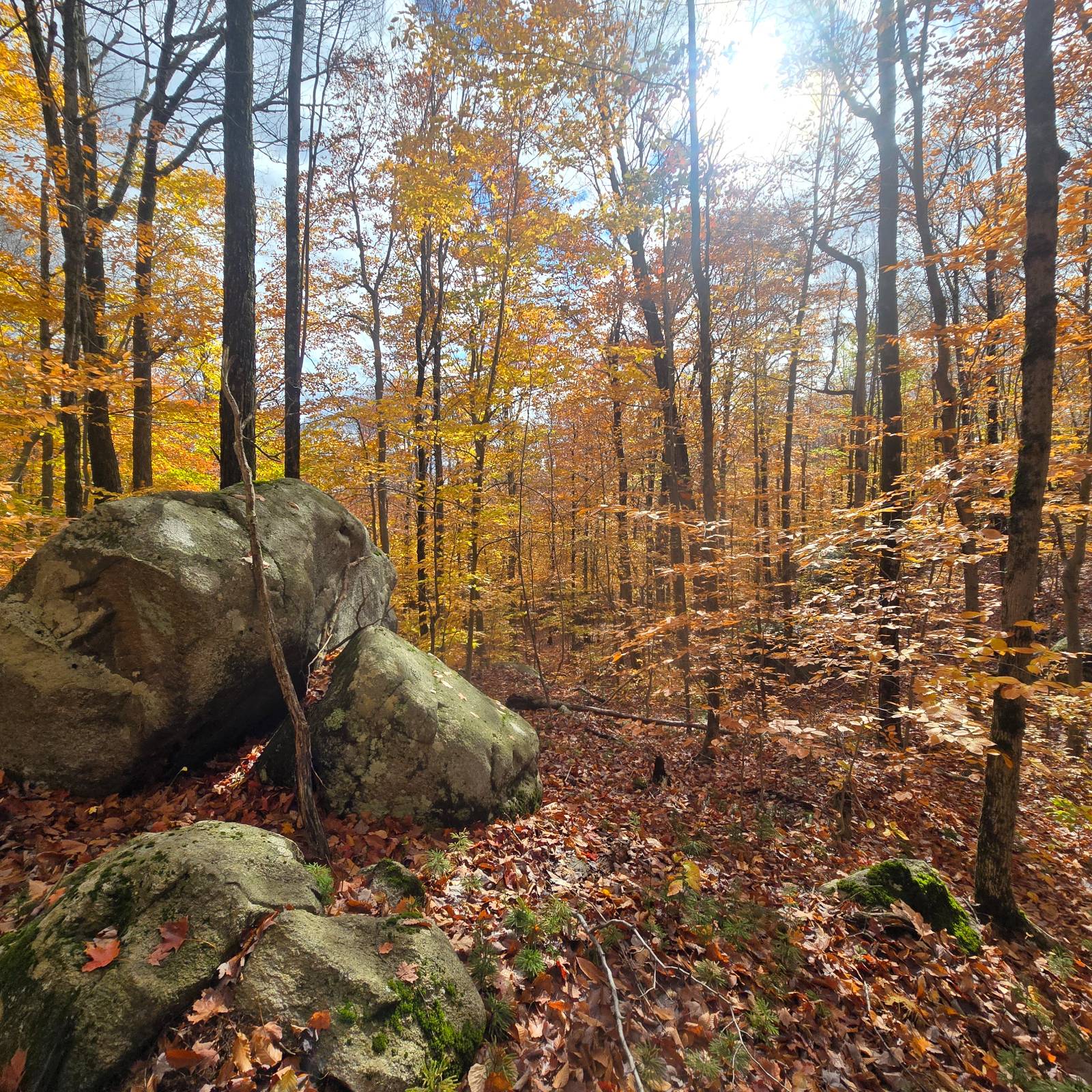 #22 photo, 7761 Alpine Rd, Harrisville , NY 13648