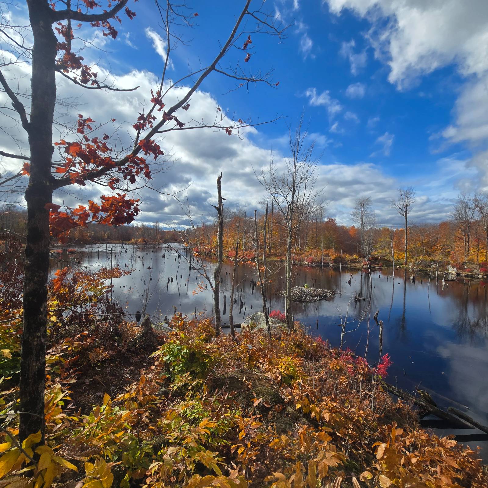 #25 photo, 7761 Alpine Rd, Harrisville , NY 13648