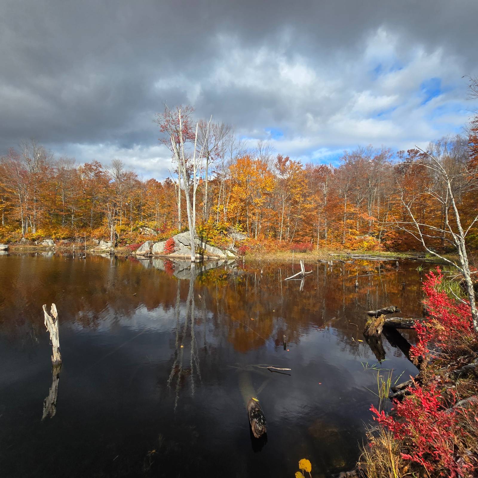 #26 photo, 7761 Alpine Rd, Harrisville , NY 13648