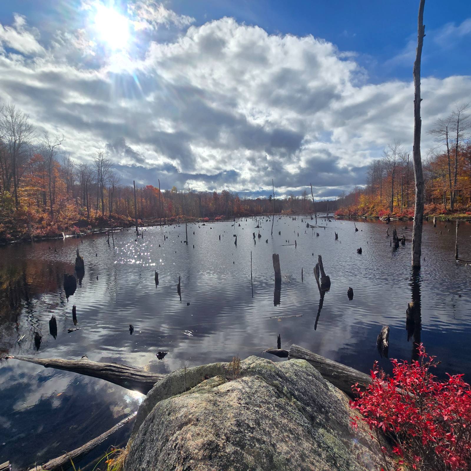 #3 photo, 7761 Alpine Rd, Harrisville , NY 13648