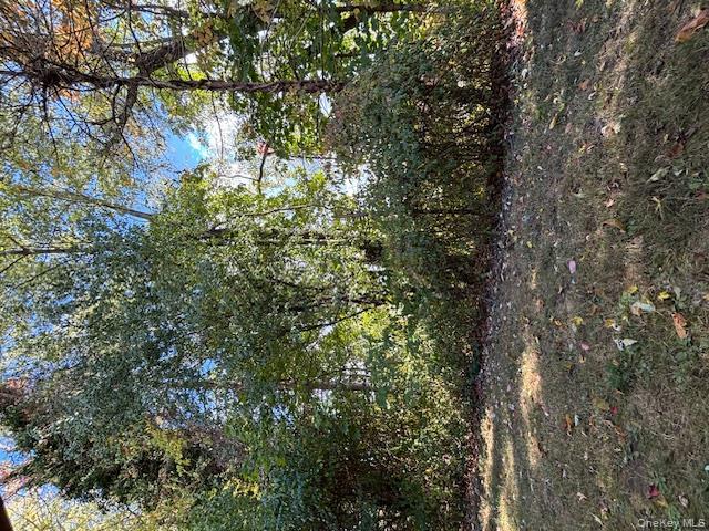 #16 photo, 31 C Alpine Drive, Wappingers Falls , NY 12590