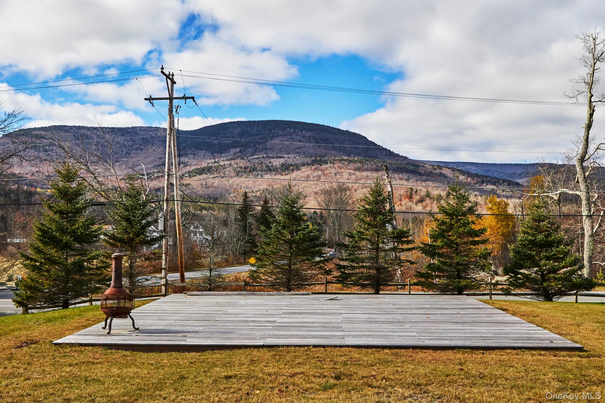 #14 photo, 1681 Platte Clove Road, Hunter , NY 12442