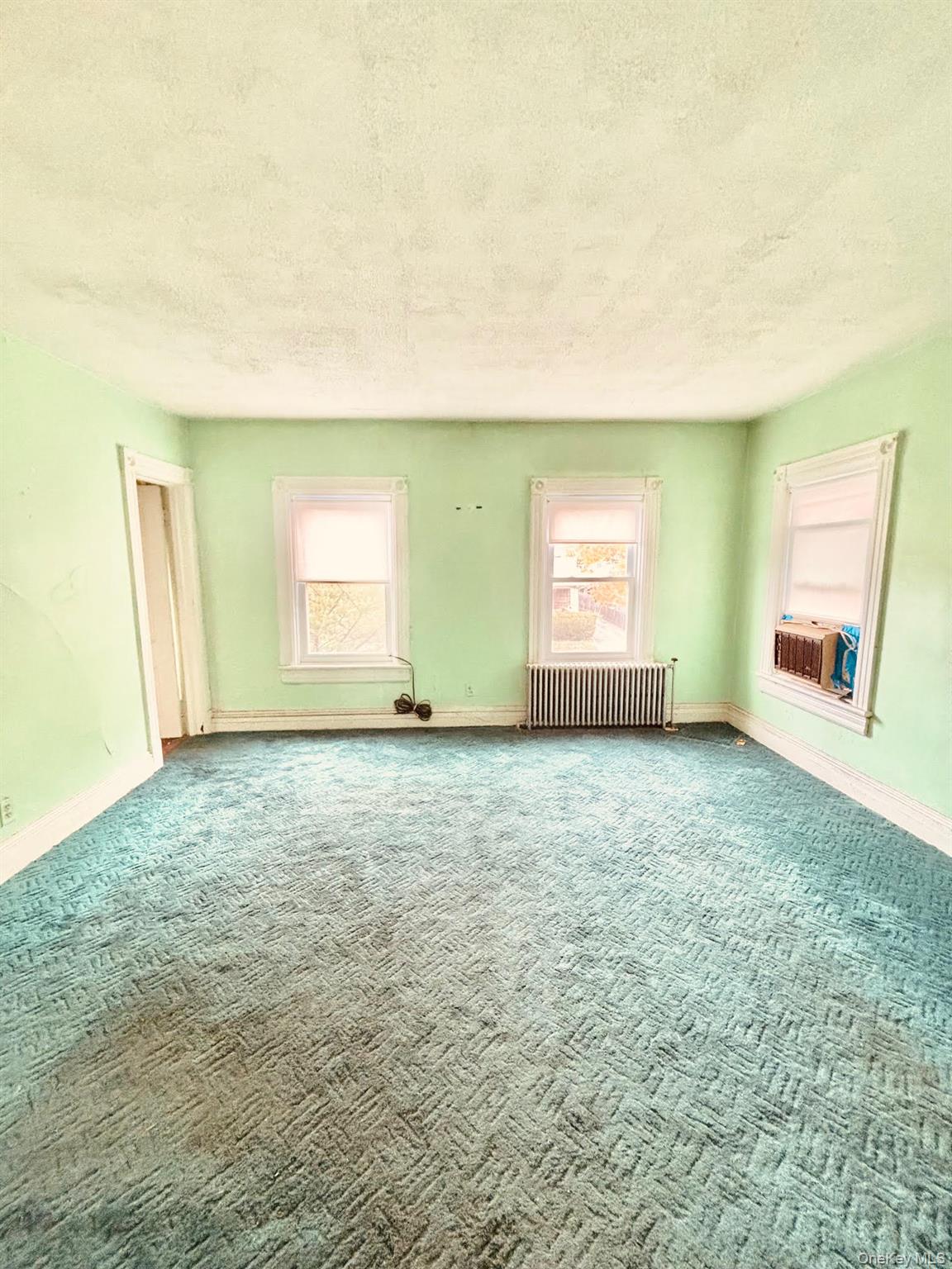 #4 photo, 203 Wanser Avenue, ナッソー郡 Inwood , NY 11096